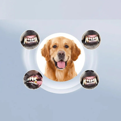 PAWCLEAN – Rimuovi tartaro a ultrasuoni per animali domestici