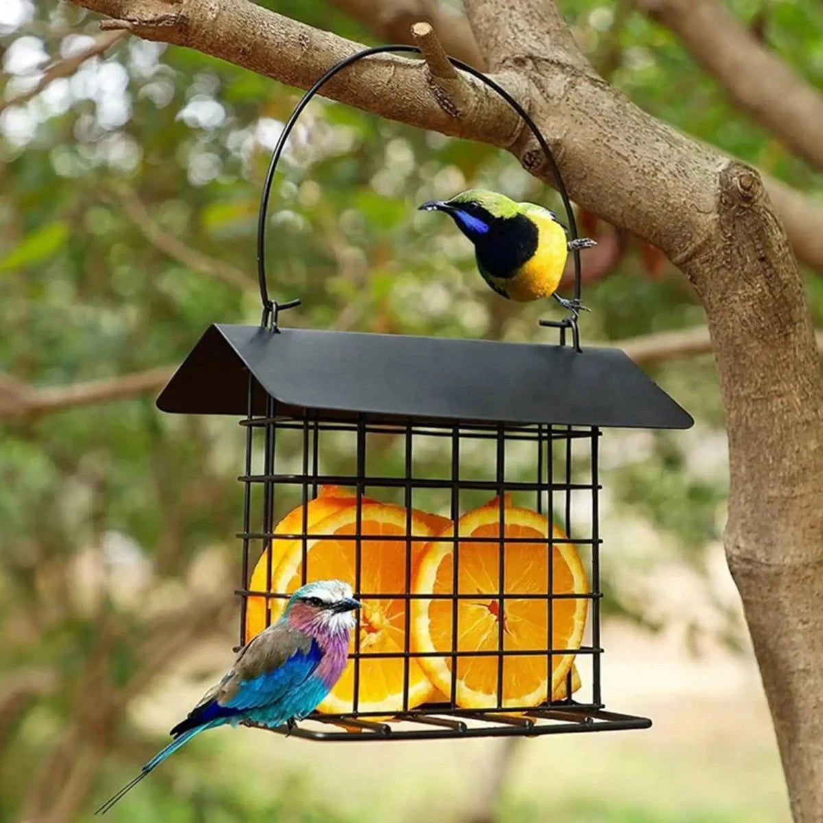 BIRDNESTER – Estación colgante para alimentar pájaros con techo resistente a la intemperie