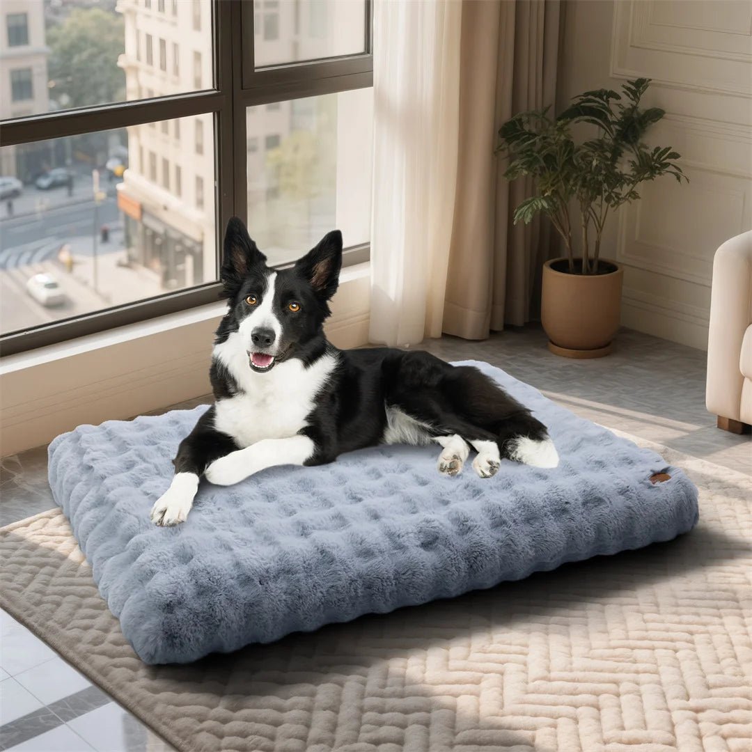 PETSERENE – Letto calmante per cani e gatti