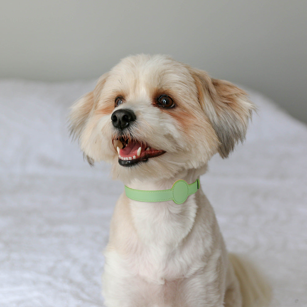 TAGSAFE – Dog Collar with Integrated AirTag Holder for Safety & Style