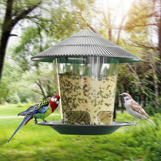 BIRDFEAST – Automatic Bird Feeder with Foot Activation