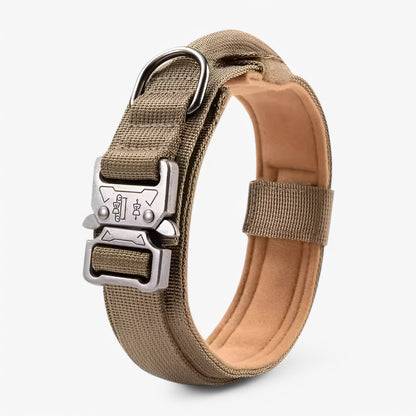 Variant image for Taktisches Hundehalsband Set – Langlebig, Komfortabel & Sicher für Aktive Hunde-3