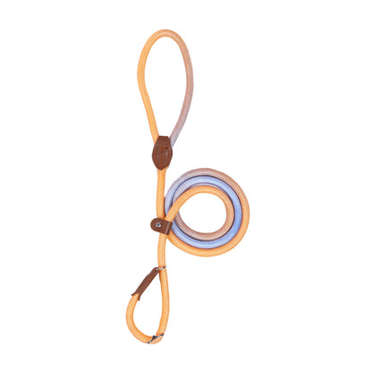 COLORLEASH – Guinzaglio colorato per passeggiate eleganti