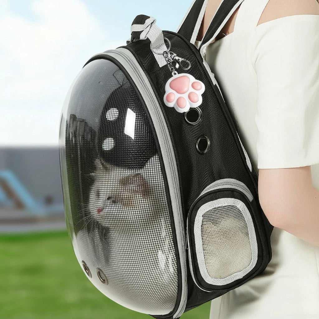 FELIFUN – Interaktives Katzen-Laserspielzeug – 5 einstellbare Lichtmuster