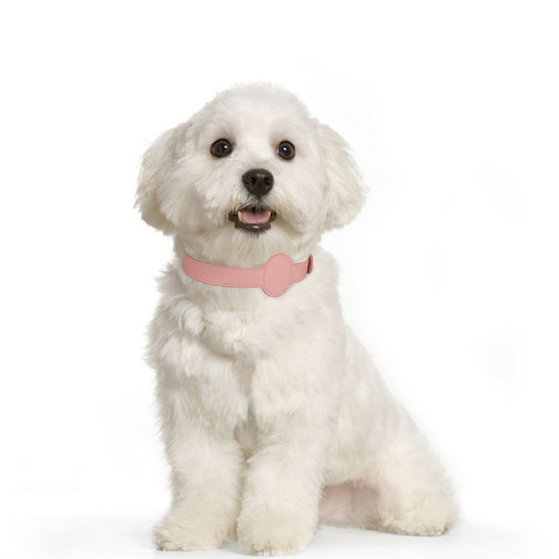 TAGSAFE – Dog Collar with Integrated AirTag Holder for Safety & Style