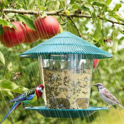 BIRDFEAST – Alimentador automático para pájaros con activación por pie