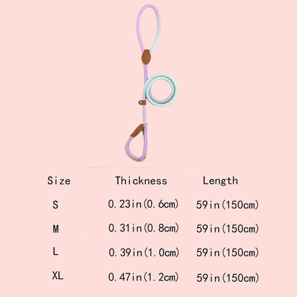 COLORLEASH – Guinzaglio colorato per passeggiate eleganti