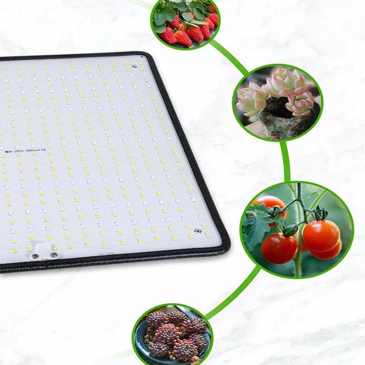 PLANTBEAM – Luce a LED a spettro completo 1200W per la crescita delle piante indoor
