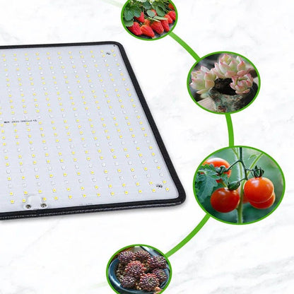 PLANTBEAM – Luce a LED a spettro completo 1200W per la crescita delle piante indoor