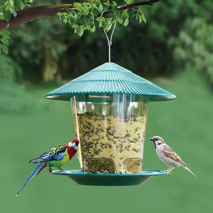 BIRDFEAST – Alimentador automático para pájaros con activación por pie