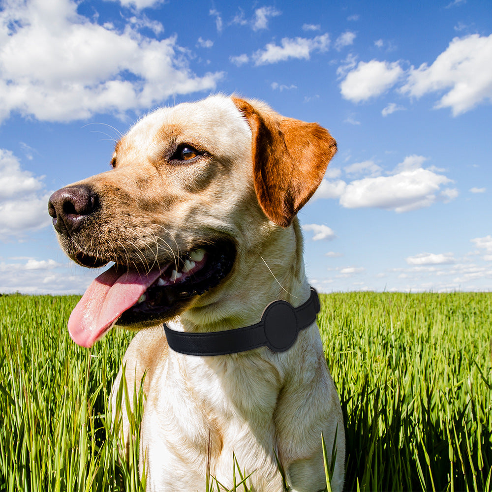 TAGSAFE – Dog Collar with Integrated AirTag Holder for Safety & Style