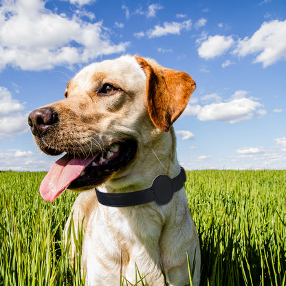 TAGSAFE – Dog Collar with Integrated AirTag Holder for Safety & Style
