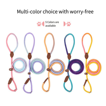 COLORLEASH – Guinzaglio colorato per passeggiate eleganti