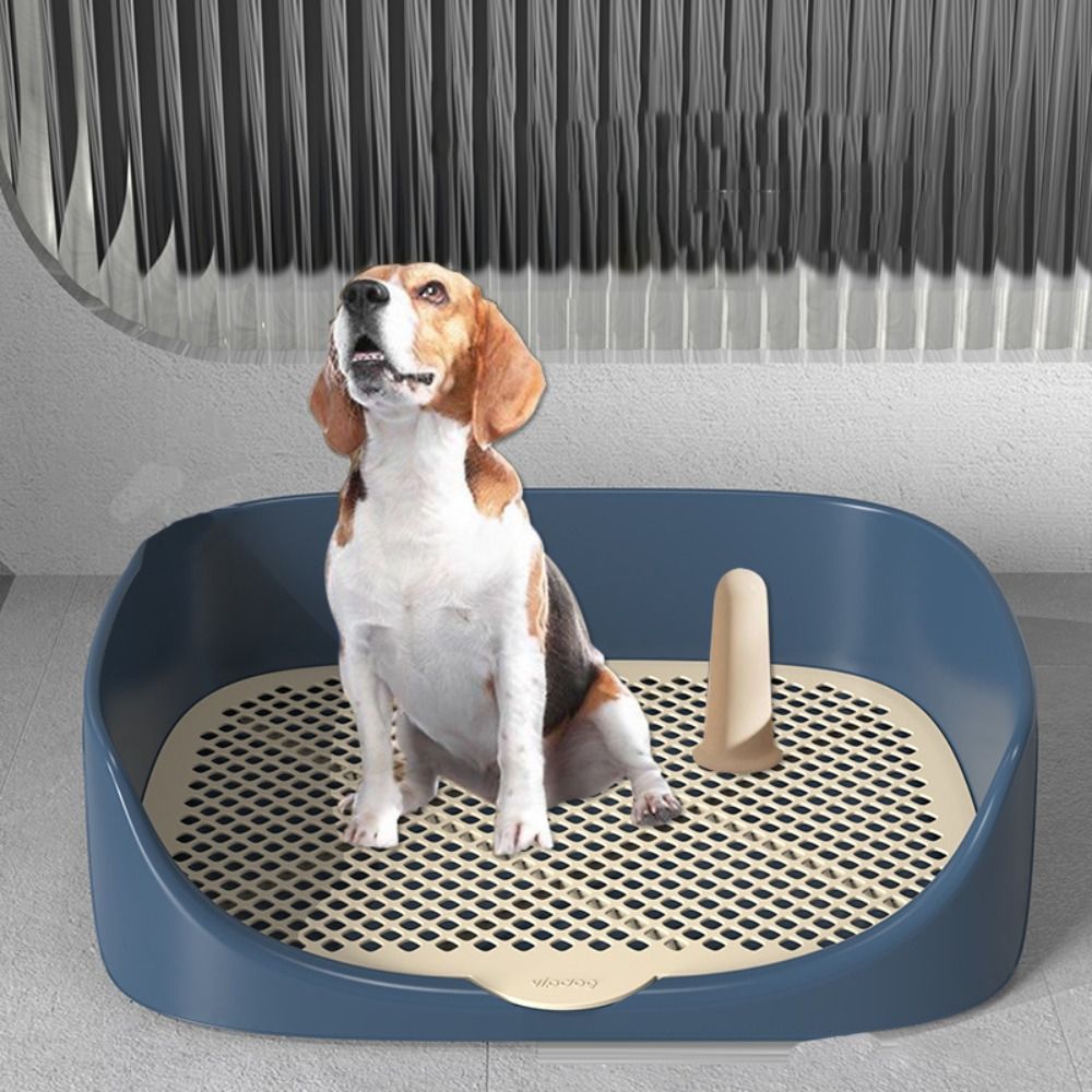 NOCLEANUP – Toilettentrainer für Welpen mit Anti-Splash-Rand