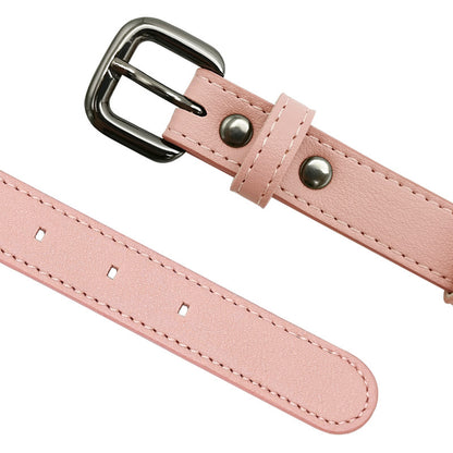 TAGSAFE – Dog Collar with Integrated AirTag Holder for Safety & Style
