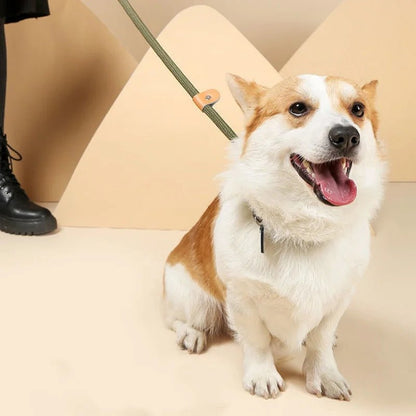 COLORLEASH – Colorful Dog Leash for Stylish Walks