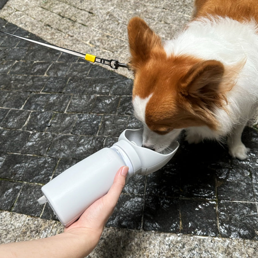 TRAILSIP – Faltbare Wasserflasche für Haustiere mit 550 ml Volumen