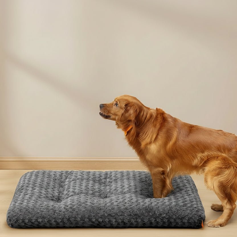 DOGCOMFY – Cojín suave para perros grandes