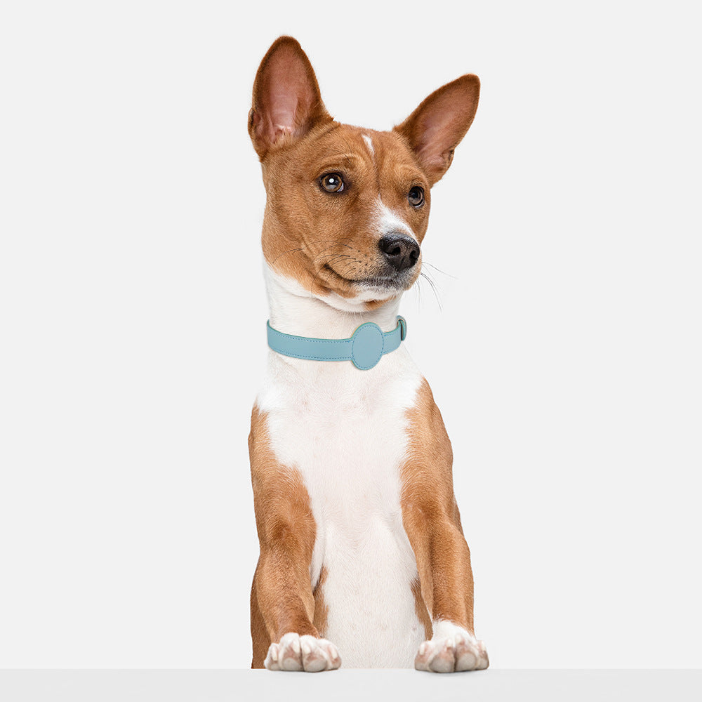 TAGSAFE – Dog Collar with Integrated AirTag Holder for Safety & Style