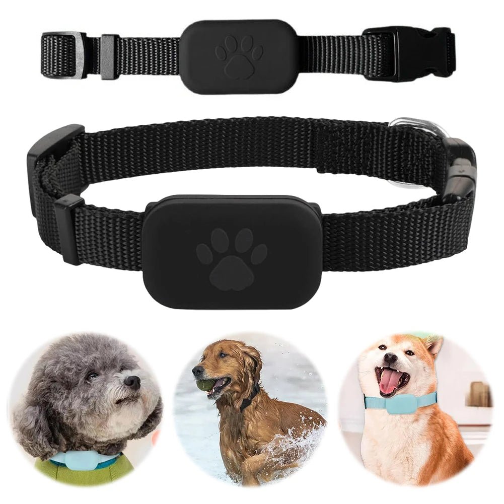 SNOUTRACK – Intelligenter GPS-Haustier-Tracker mit verstellbarem Halsband für Hunde und Katzen 5