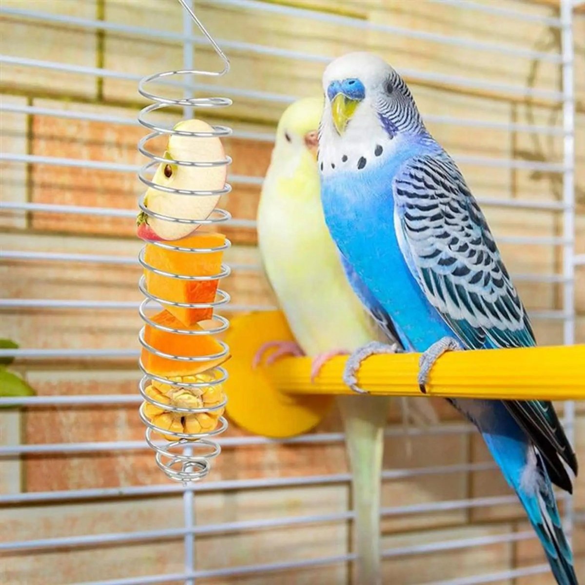 SPIRAFEED – Robuster Papageienfutterspender aus Edelstahl 5