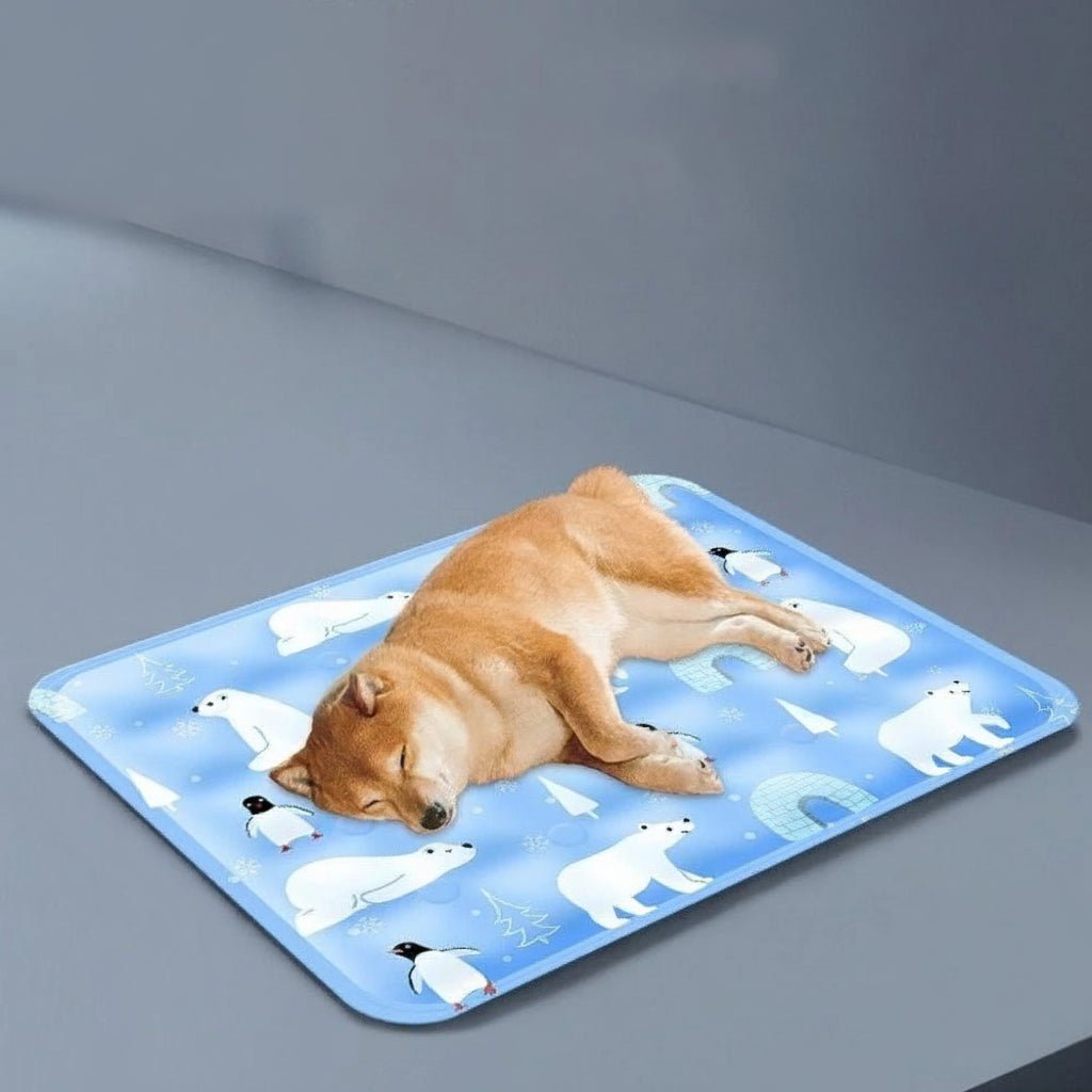 COOLFUR – Colchoneta refrigerante para perros y gatos