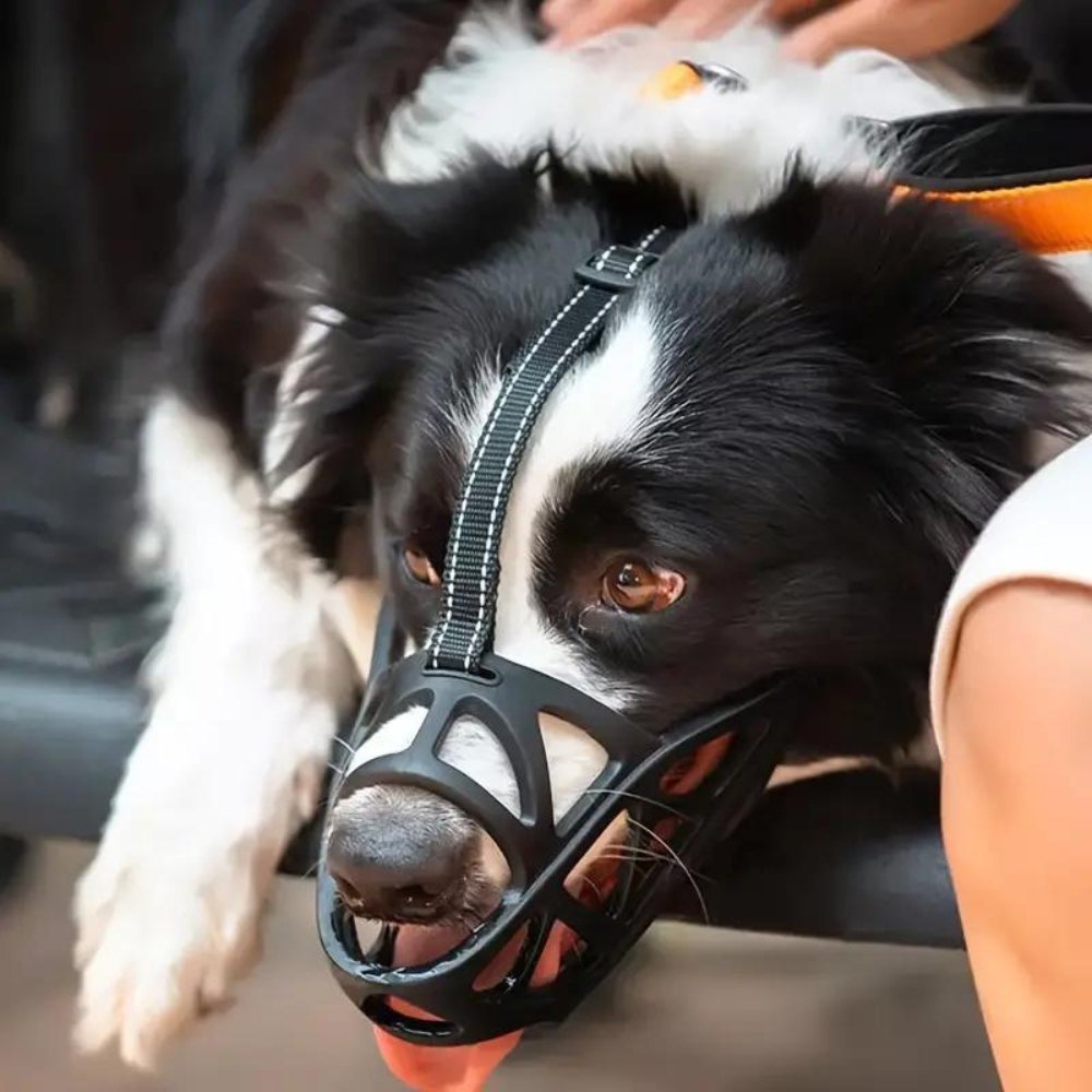DOGORA – Museruola morbida per cani per situazioni quotidiane sicure