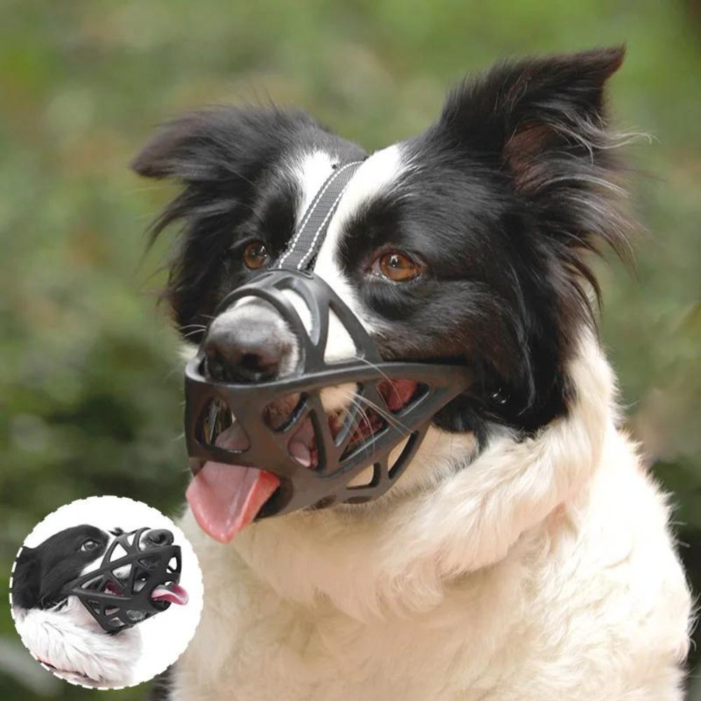 DOGORA – Museruola morbida per cani per situazioni quotidiane sicure