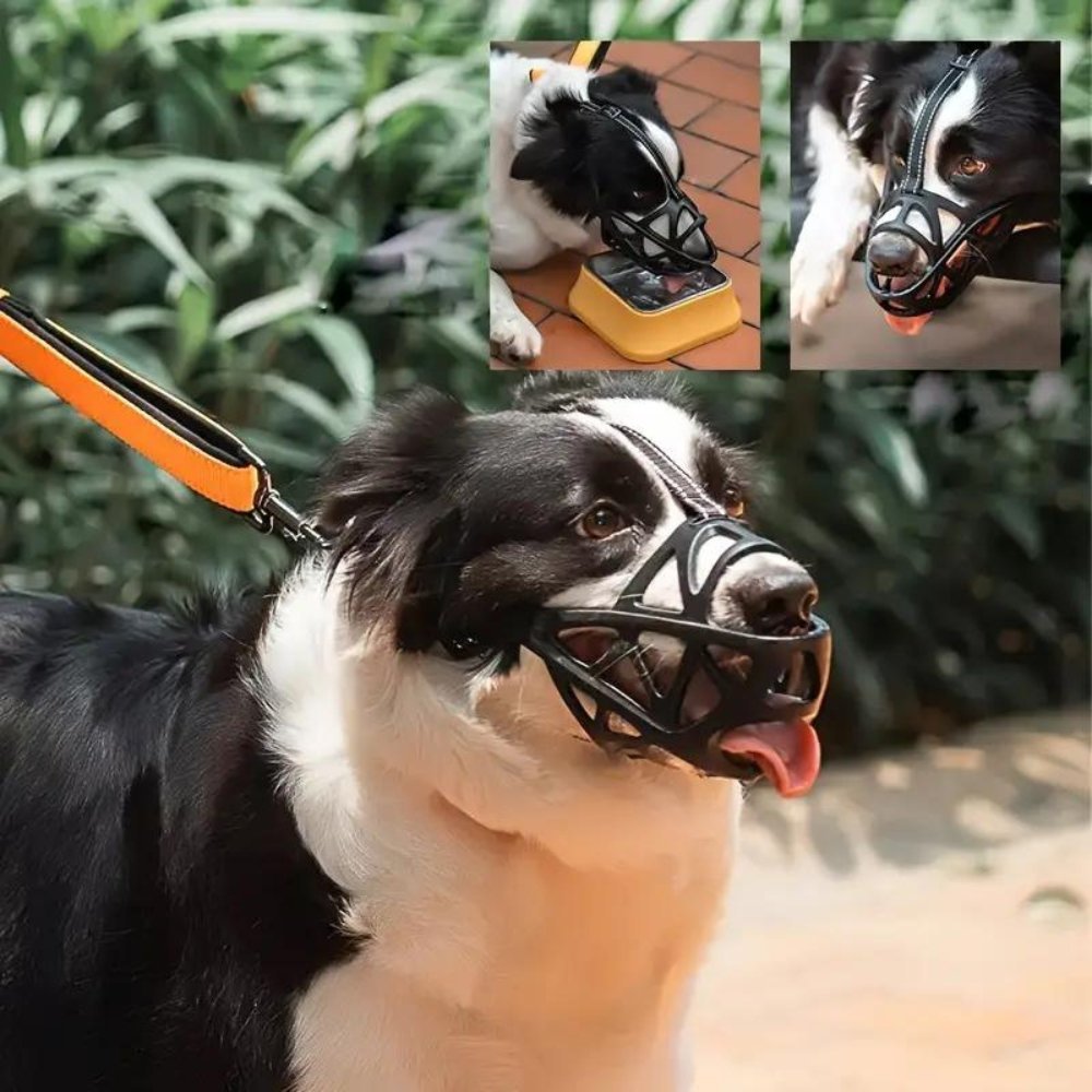 DOGORA – Museruola morbida per cani per situazioni quotidiane sicure