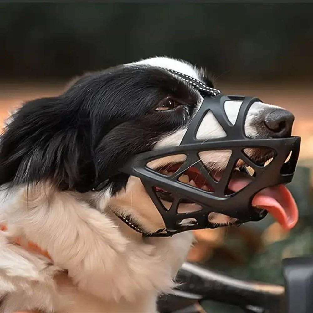 DOGORA – Museruola morbida per cani per situazioni quotidiane sicure