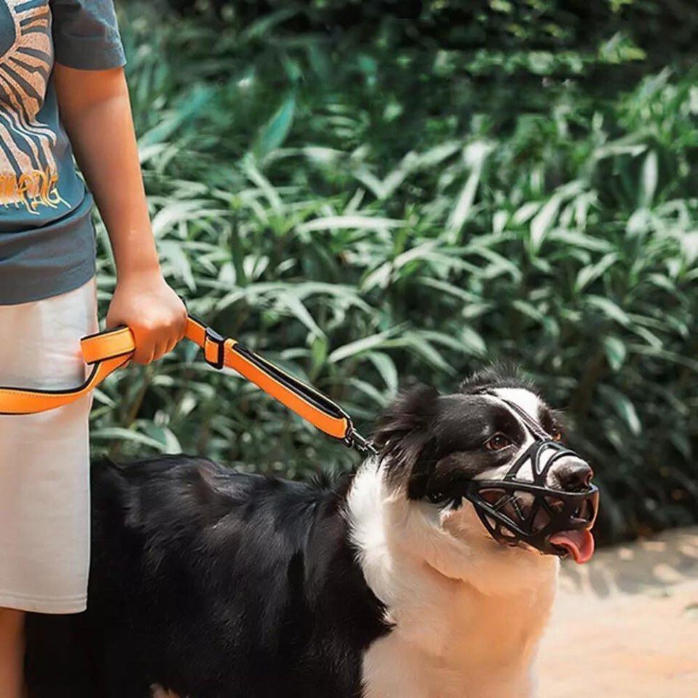 DOGORA – Museruola morbida per cani per situazioni quotidiane sicure
