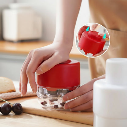 SEEDIX – Herramienta de cocina para eliminar rápidamente los núcleos