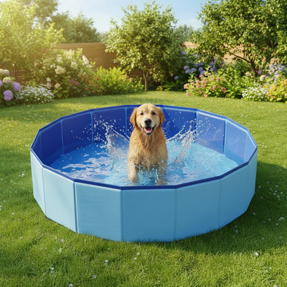 COOLPAWS – Piscina plegable para perros de PVC para los días calurosos de verano