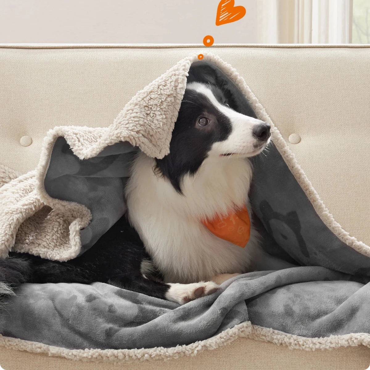 FURBLANKET – Zachte deken voor honden & katten