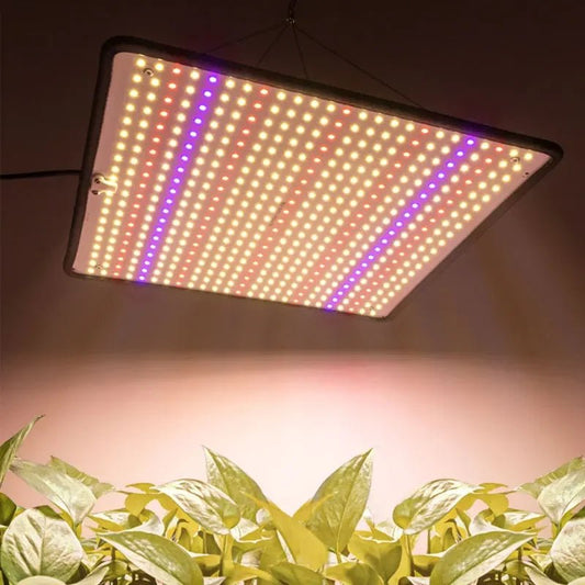 PLANTBEAM – Luce a LED a spettro completo 1200W per la crescita delle piante indoor