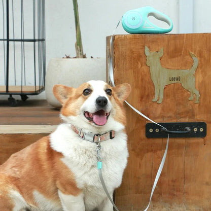 DogLight - Automatic dog lead with LED light, USB rechargeable battery & 3m length for safe walks
