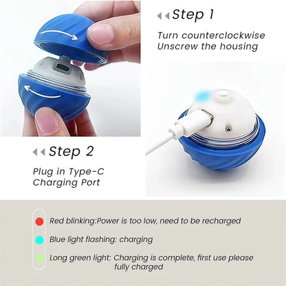 PlayPet Interactive Dog Ball - Rechargeable Bouncing Ball