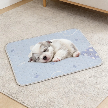 FROSTFUR – Koelmat voor honden en katten met Ice-Silk oppervlak