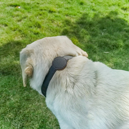 TAGSAFE – Dog Collar with Integrated AirTag Holder for Safety & Style