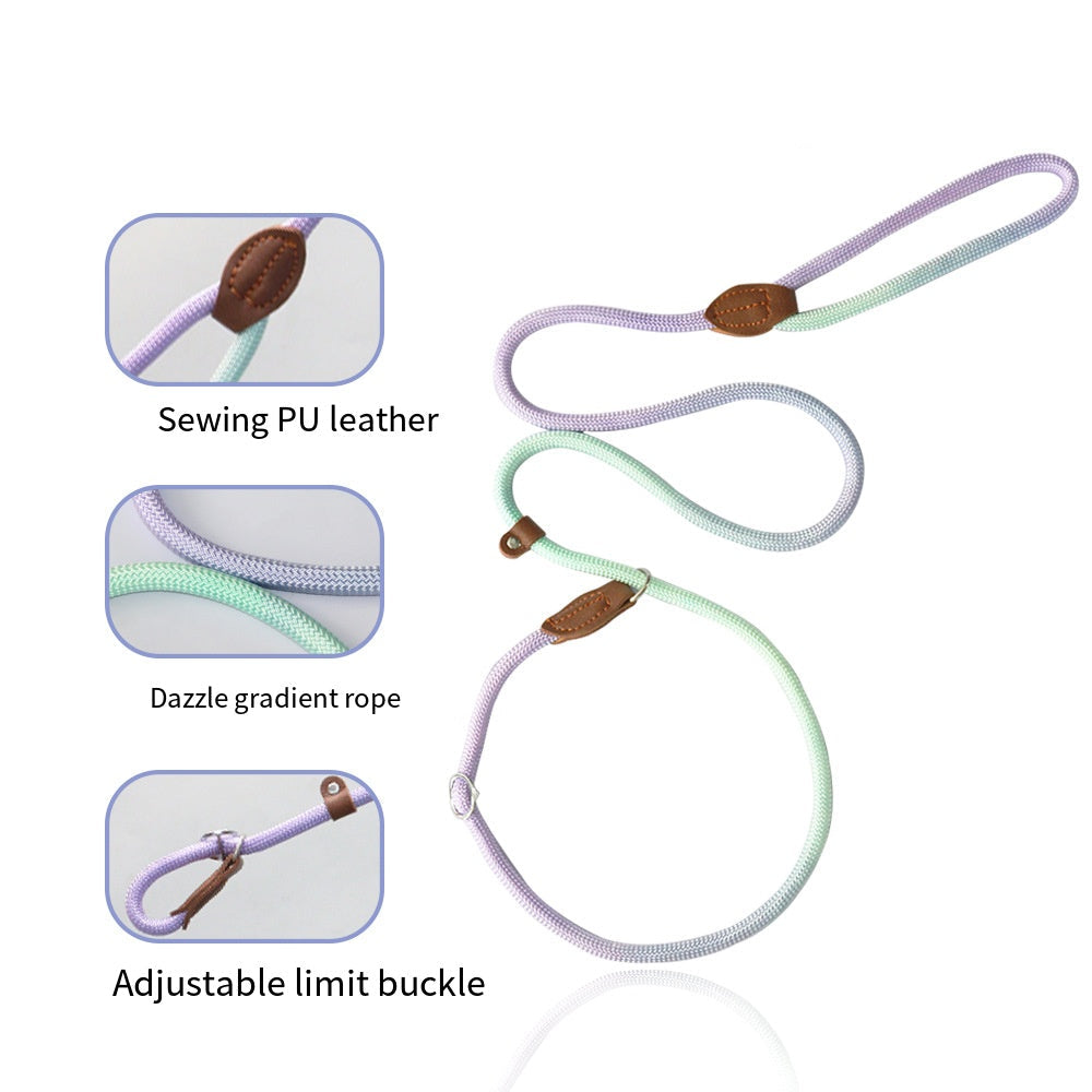COLORLEASH – Guinzaglio colorato per passeggiate eleganti