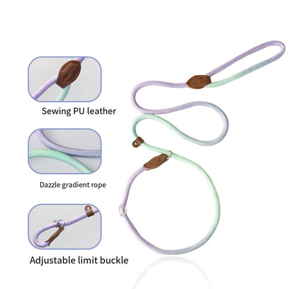 COLORLEASH – Guinzaglio colorato per passeggiate eleganti