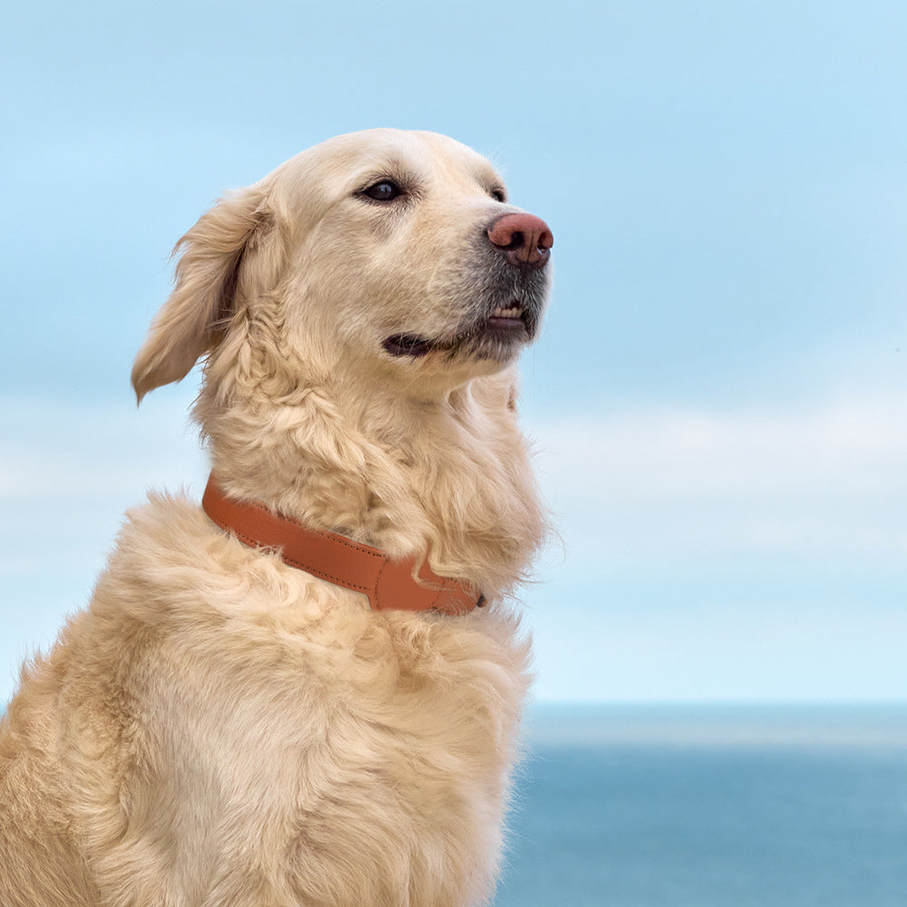 TAGSAFE – Dog Collar with Integrated AirTag Holder for Safety & Style