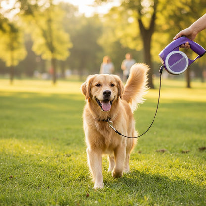 CORREA ELITE ADVENTUREPAWS – Correa ajustable para perros para seguridad y comodidad