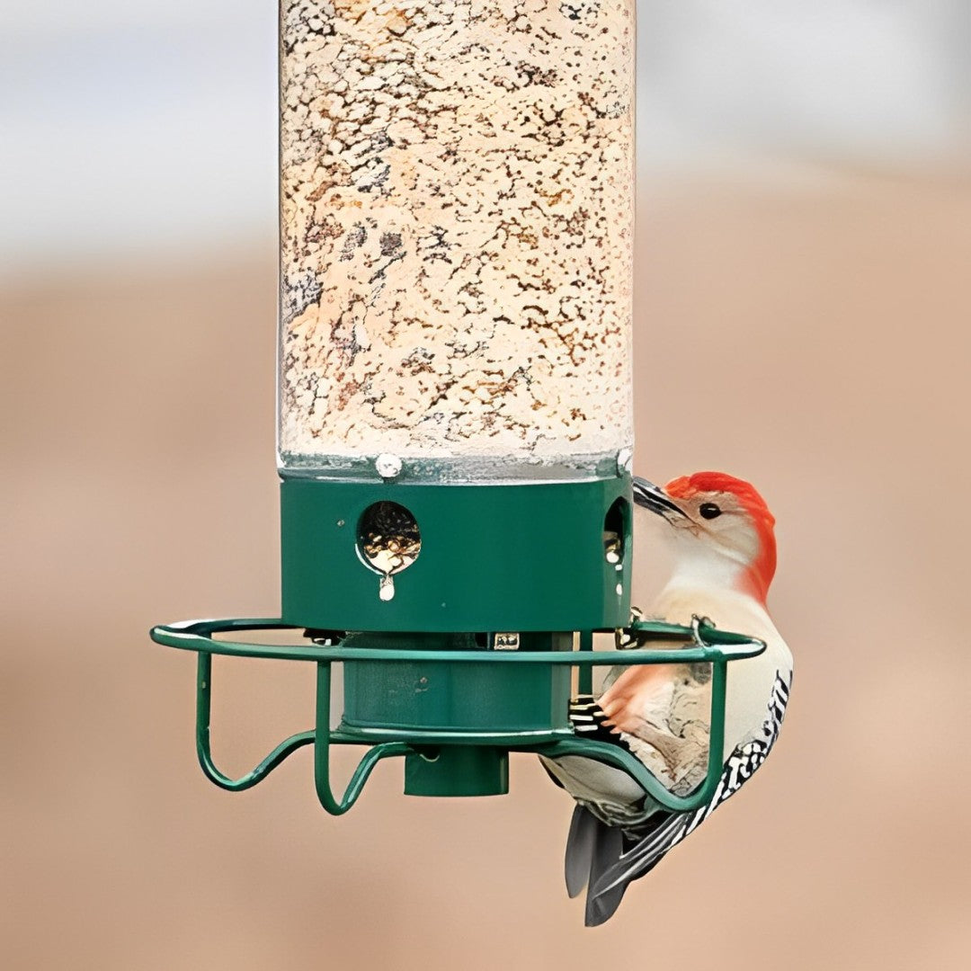 NutriGuard – Eekhoornbestendig Vogelhuis met gewichtsgestuurde Voederdispenser