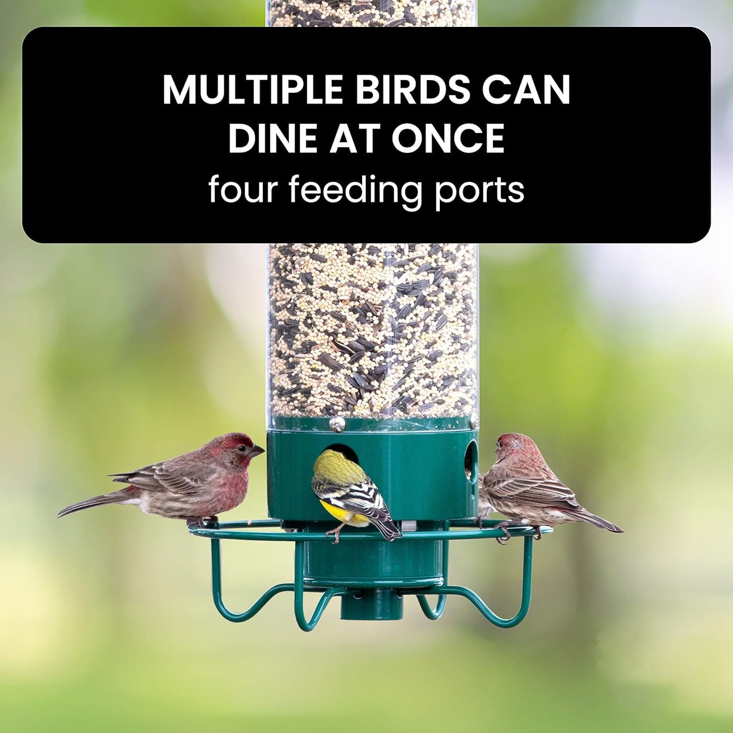 NutriGuard – Eekhoornbestendig Vogelhuis met gewichtsgestuurde Voederdispenser