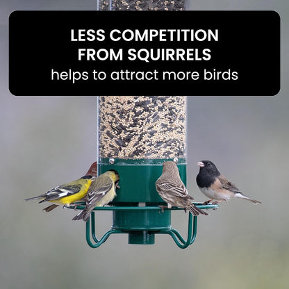 NutriGuard – Eekhoornbestendig Vogelhuis met gewichtsgestuurde Voederdispenser