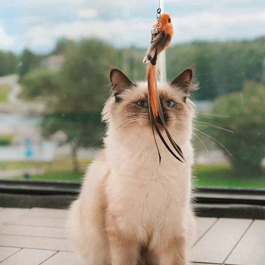 Natürliche Spielzeit - Interaktiver Vogel für Katzen-3