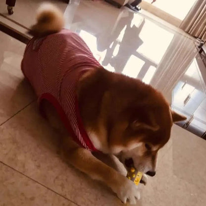 ZenDog Beruhigendes Hundespielzeug mit natürlichem Lavendel- und Kamillenduft zur Stresslinderung 7