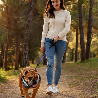 DOGSAFE HARNESS - Personalisable dog harness for comfort & safety