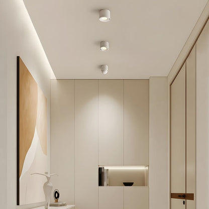 LUMITILT – LED Downlights Aluminum with precise 30° tilt